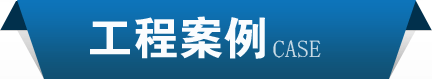 康明斯发电机组 发电机工程